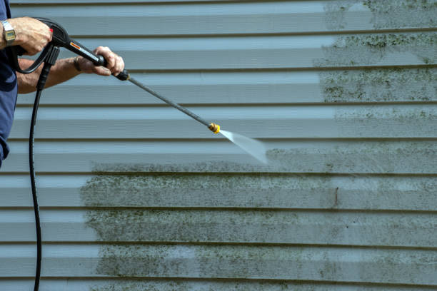 Best Residential Pressure Washing Services  in Hawaiian Ocean View, HI